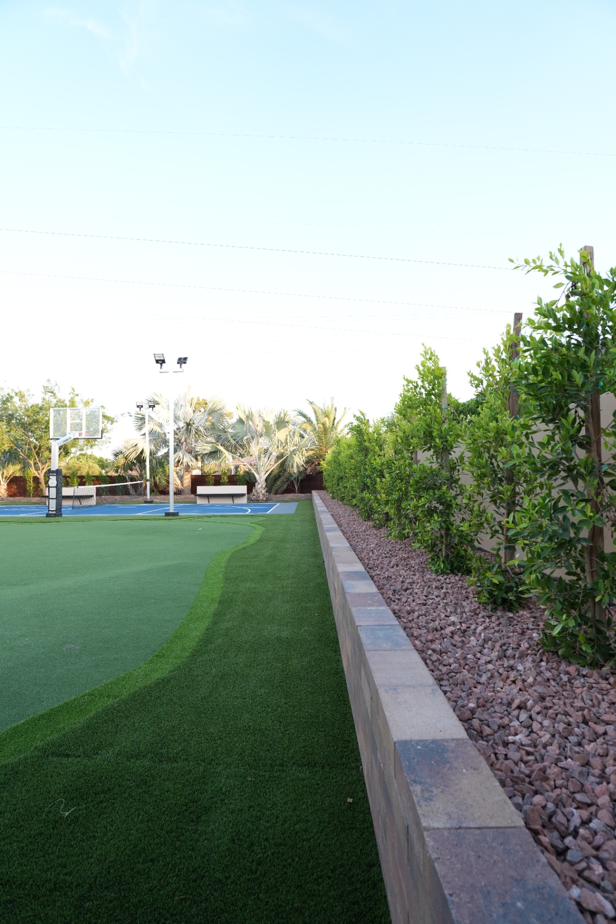 Raised paver planter with ficus trees beside a putting green and sport court